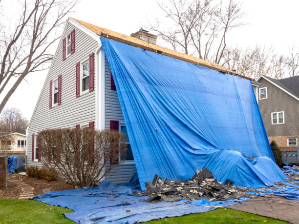 Best Shed Removal  in Glenwood, IA